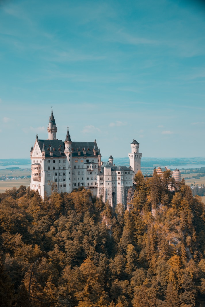 A castle above a wooded hillside